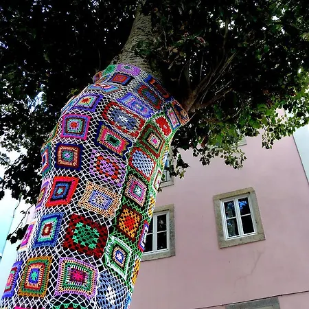 Dreaming - Trigueiros City View